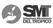 logo-smt