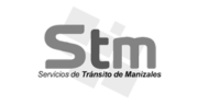 logo-stm